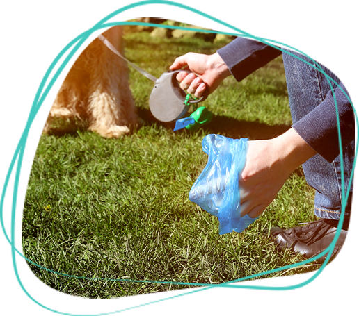 Dog Waste Removal Service